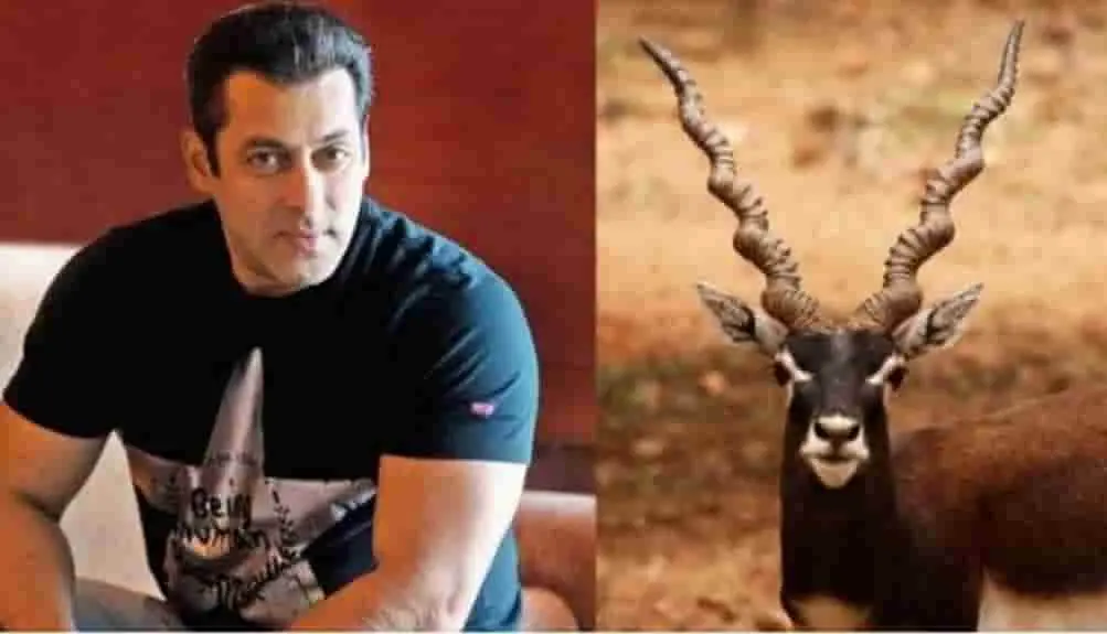 Salman Khan Black Buck Case